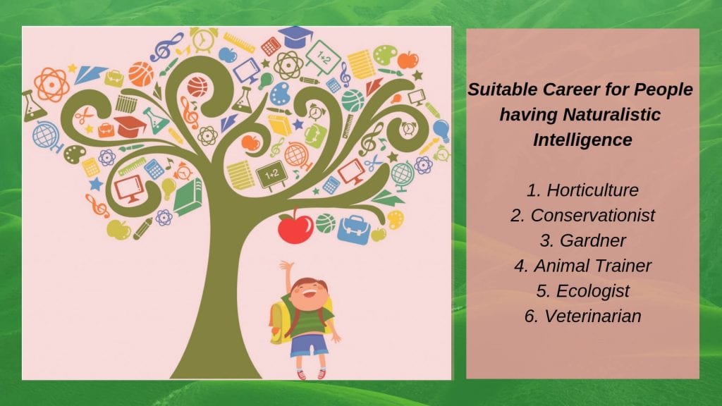 Naturalistic-intelligence