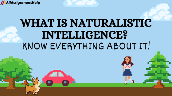 Naturalistic Intelligence