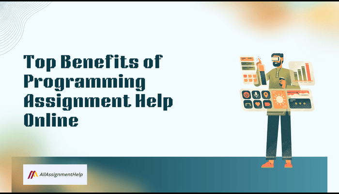 programming-assignment-help-online